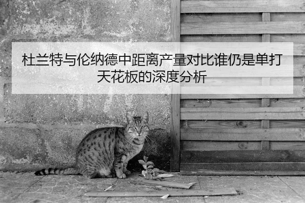 杜兰特与伦纳德中距离产量对比谁仍是单打天花板的深度分析