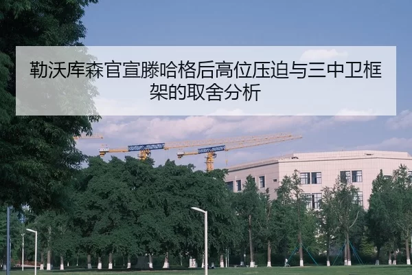 lei-wo-ku-sen-guan-xuan-teng-ha-ge-hou-gao-wei-ya-po-yu-san-zhong-wei-kuang-jia-de-qu-she-fen-xi-2-683.jpg