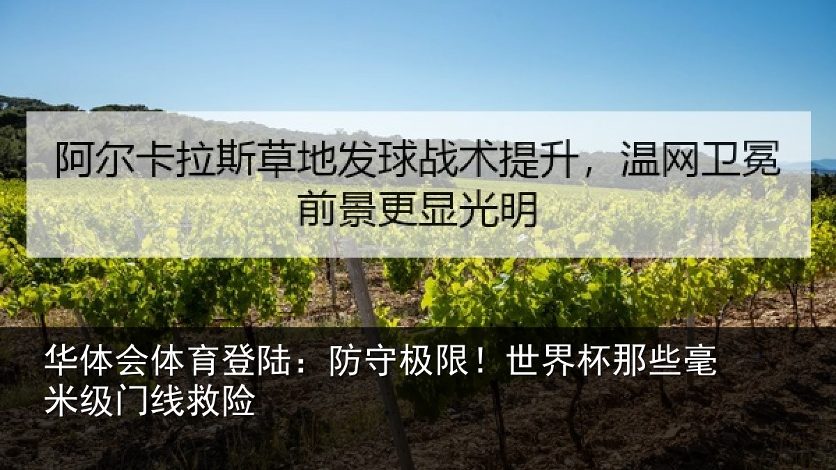 华体会体育登陆：防守极限！世界杯那些毫米级门线救险