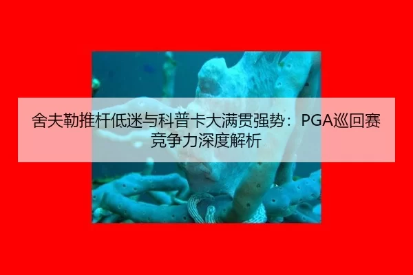 she-fu-lei-tui-gan-di-mi-yu-ke-pu-ka-da-man-guan-qiang-shi-xun-hui-sai-jing-zheng-li-shen-du-jie-xi-3-934.jpg