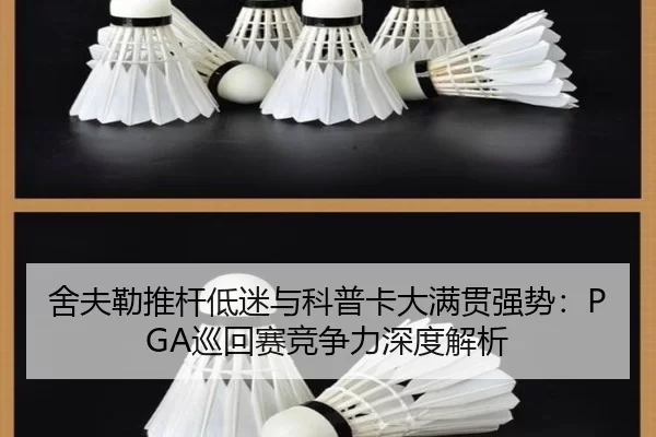 舍夫勒推杆低迷与科普卡大满贯强势：PGA巡回赛竞争力深度解析