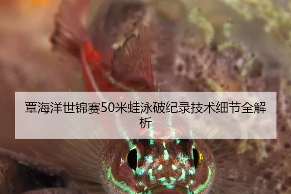 覃海洋世锦赛50米蛙泳破纪录技术细节全解析